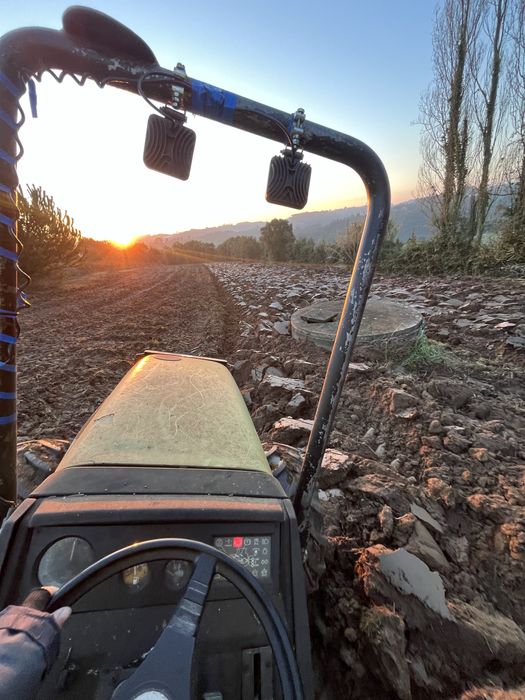 Serviços agricolas e florestais / jardins / corte de arvores/ vedacoes