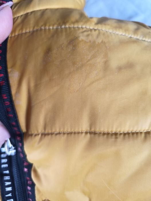 Kurtka miodowa Cocodrillo 98