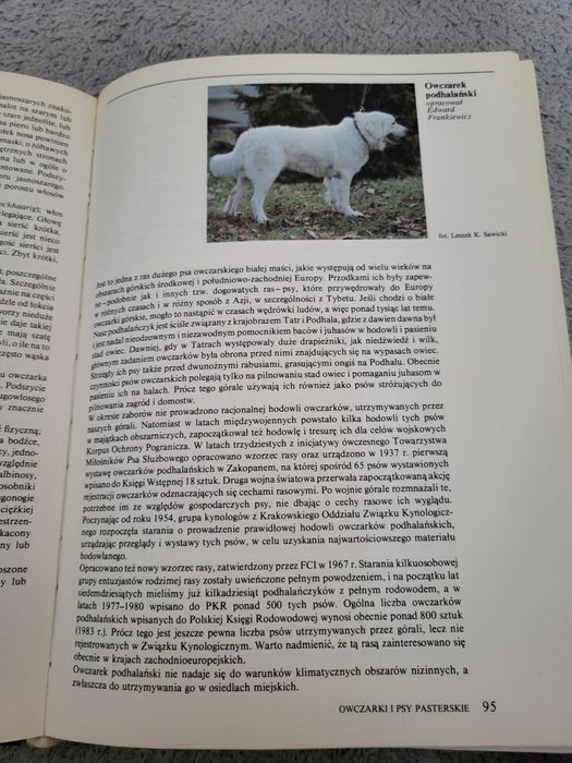 Psy rasowe w Polsce książka