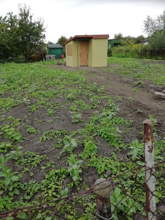 Działka na sprzedaż – ROD Kolejarz (Tczew)