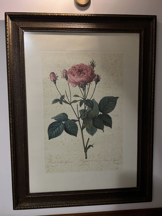 Quadro antigo com rosa