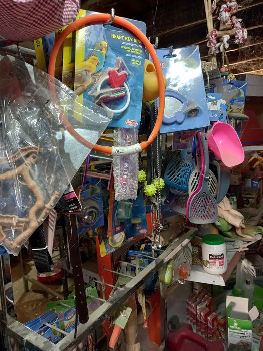 DESOCUPAR ( LER a descrição)Acessórios de animais