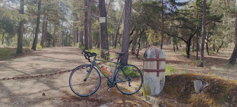 Bicicleta de estrada qeer   corse 2