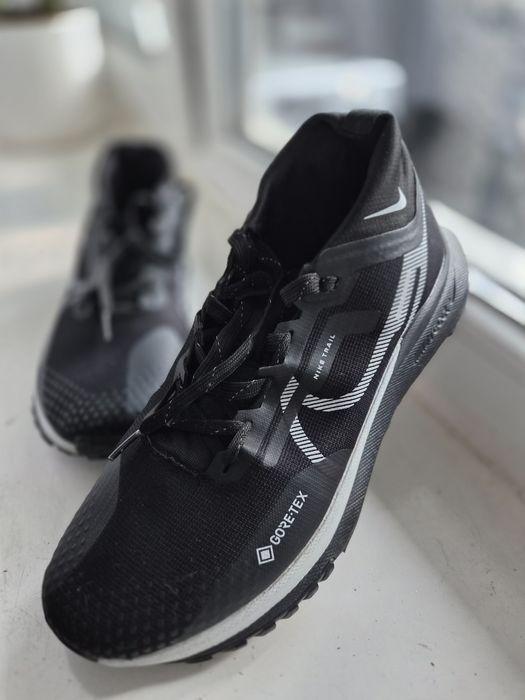 Кросівки Nike Pegasus