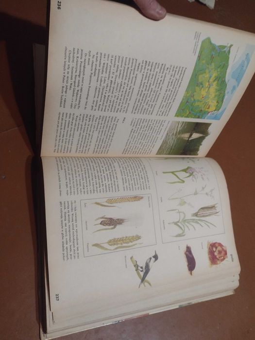 Encyklopedia dla dzieci