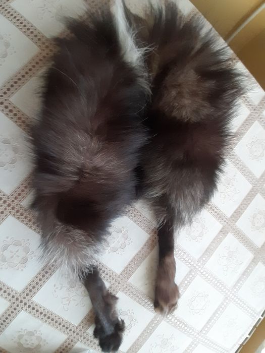 Szalik lis z łapkami