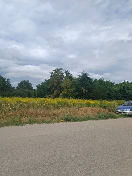 Продаж приватизованої земельної ділянки за Автоагрегатним  заводом