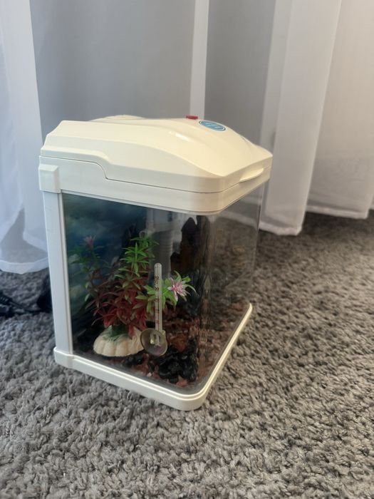 Male akwarium dla rybek 2