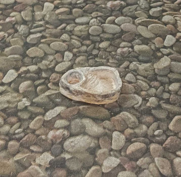 Pequeno Comedouro/Bebedouro de Pedra para Terrário