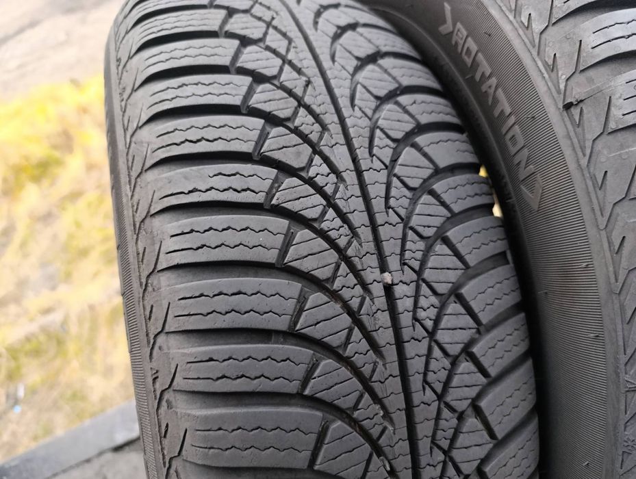 Зимові шини Diplomat 195/65 R15 резина Р15