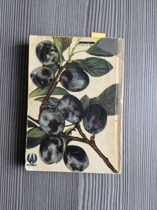 8622. "Domowy wyrób win" Jan Cieślak