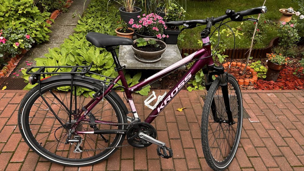 Rower kross evado 2.0