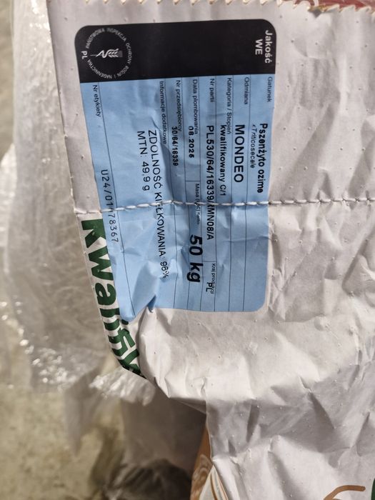 Pszenżyto ozime MONDEO C1