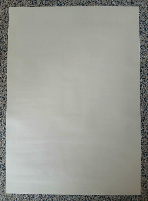 Poster - Twin Peaks Who Killed Laura Palmer? (papel kraft, formato A3)