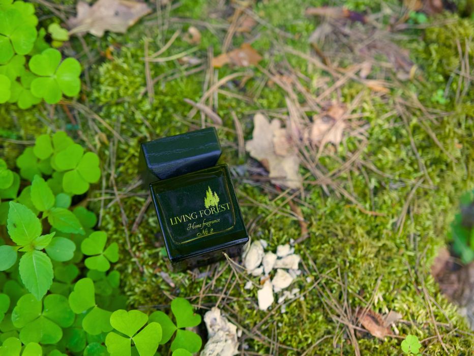 Naturalny dyfuzor zapachowy