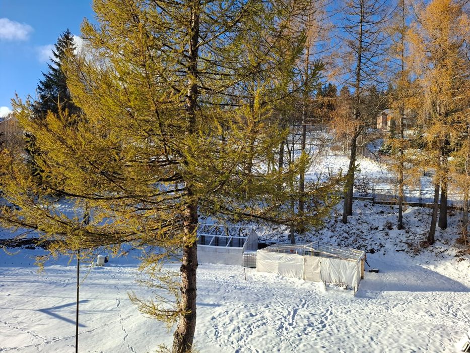 Apartamen w Karpaczu