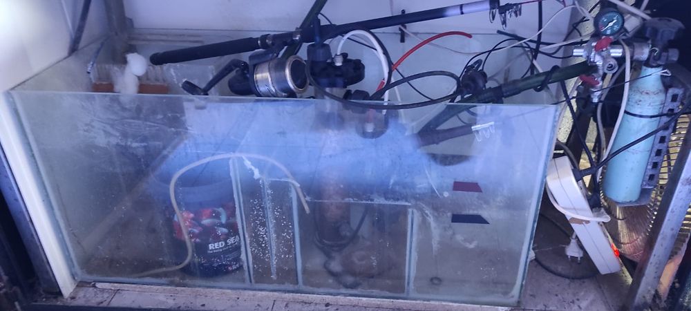 Aquário  300 litros - água salgada