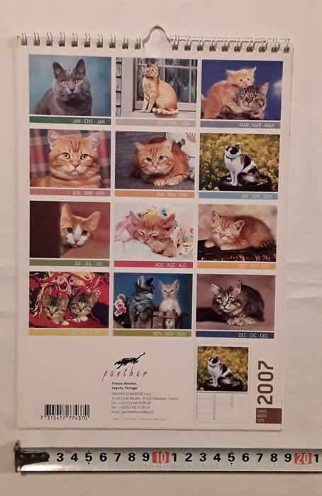 Calendário de parede com gatos do ano 2007