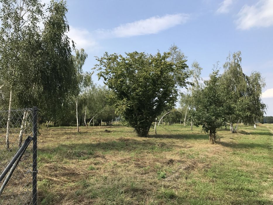 Działka budowalana GRABNIAK nad jeziorem Rotcze UCZCIWA OFERTA BEZPOŚR - Widok 4