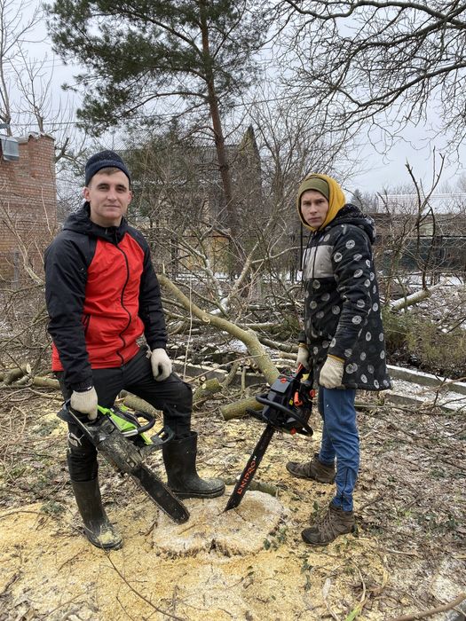 Удаление деревьев|Расчистка участка|Спил деревьев|Корчевание пней