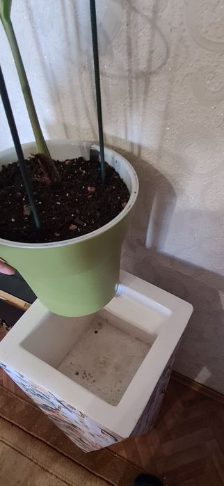 Напольные декоративные вазы-кашпо