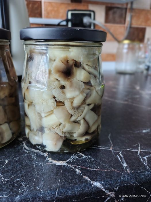 Продам маринованные грибы