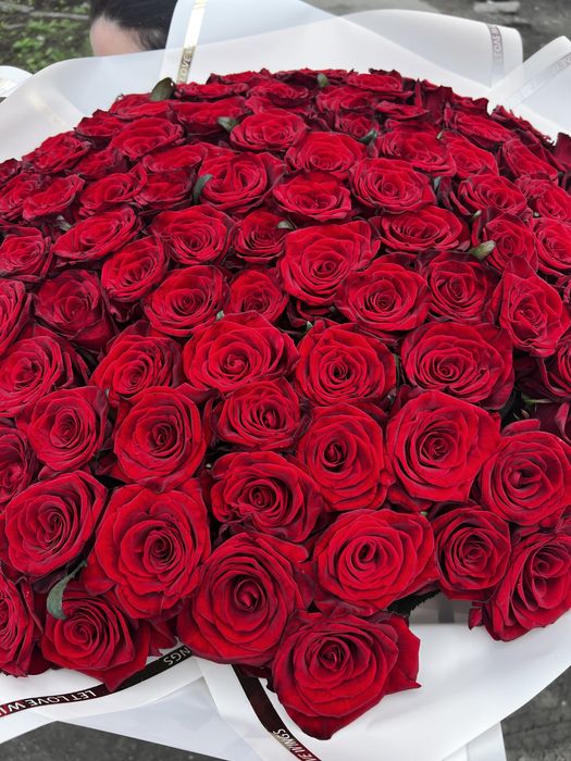 101 троянда висота 70 см