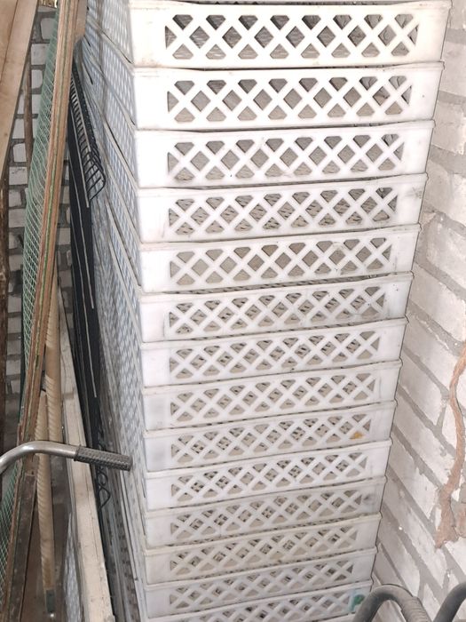 Skrzynki plastikowe na owoce