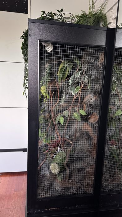 Sprzedam terrarium dla kameleona 50x50x115