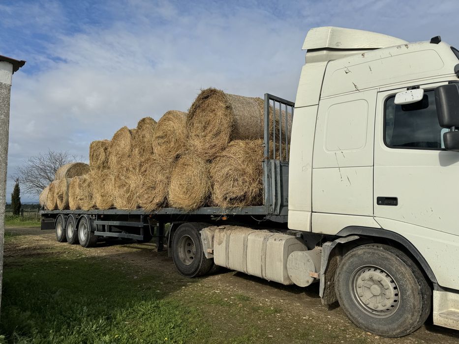 Feno em rolo seco alta qualidade