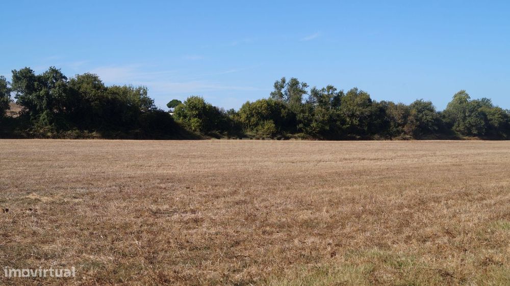 Terreno Agrícola à Venda – Brescos — Santo André, Setúbal