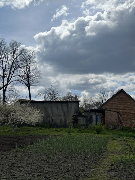 Продам чудовий будинок в селі Жоравка , Бориспільського району – pohled 5