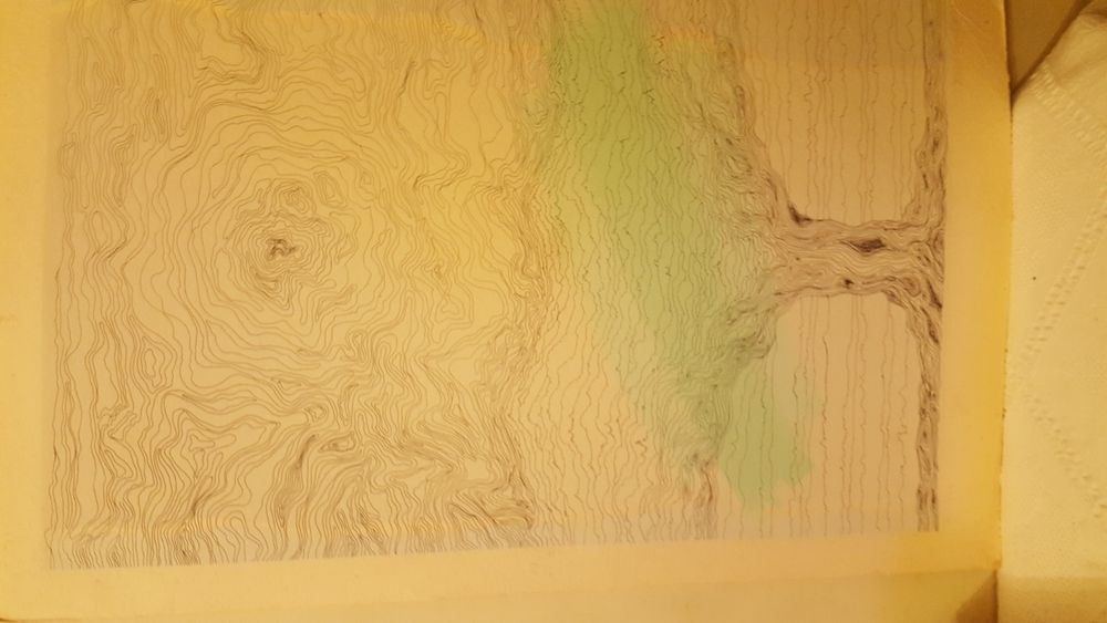 cerigrafia árvore