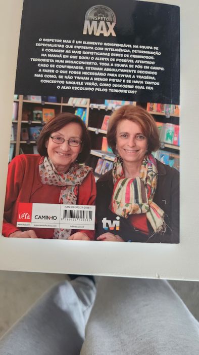 Inspetor max (série TV)