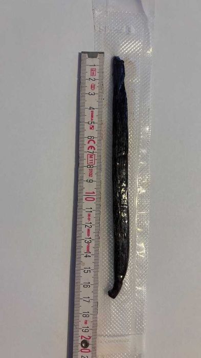 Laska Wanilii Burbon Madagaskar 16-18 cm 1szt.