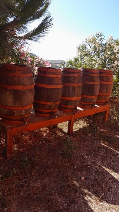 Barris em Carvalho Francês