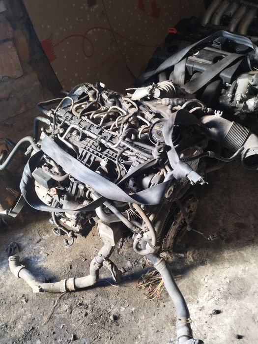 Двигун Мотор Двигатель Volkswagen Vw Golf Passat Audi A3 Skoda 1.6 TDI