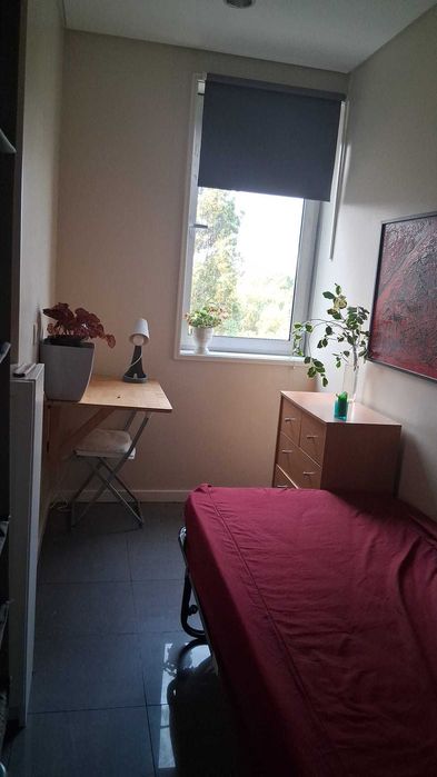 quarto porto boavista