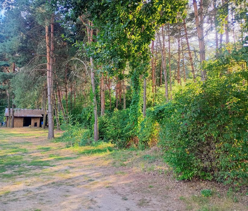 Działka 1600 m2 Krzeczów