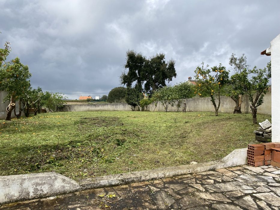 Limpezas de terrenos com roçadora e abate de árvores