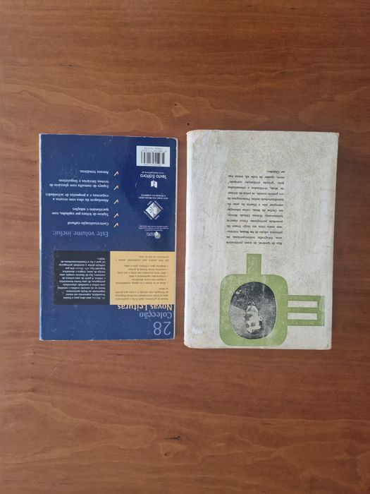 Romance "Os Maias", Eça de Queirós e livro de análise da obra