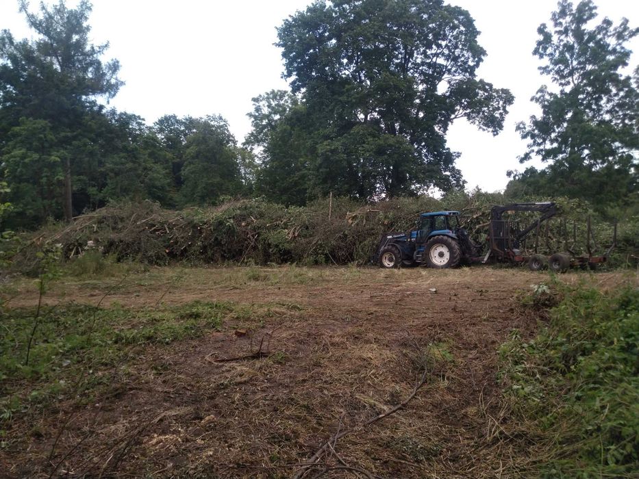 wycinka drzew, mulczerowanie