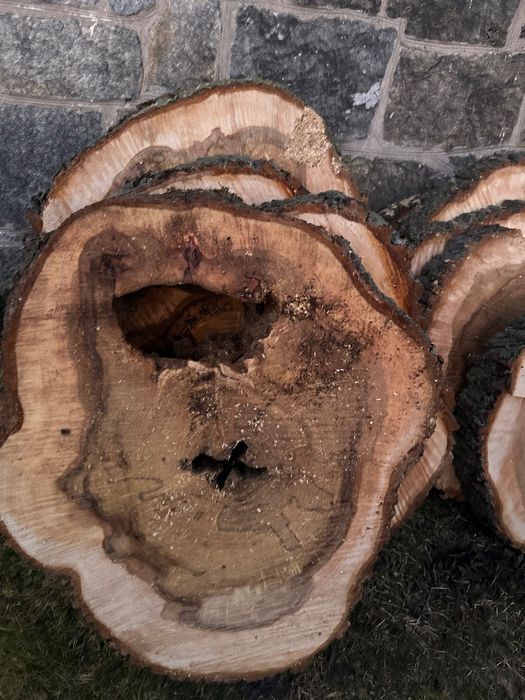 Drewno Wiąz świeżo cięte duże plastry handmade żywica