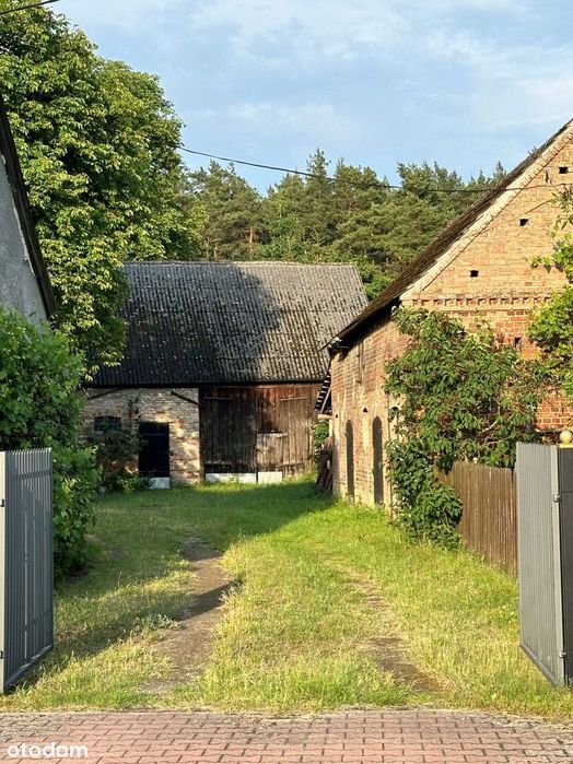 Domek przy lesie, z zabudowaniami, blisko jeziora