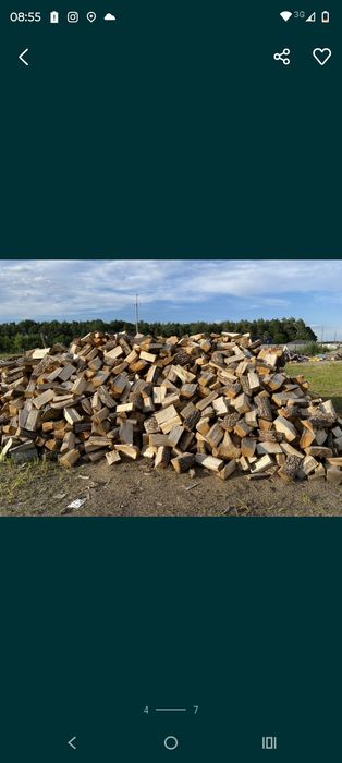 Sucha sosna polupana