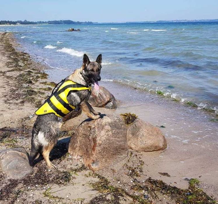 Kamizelka ratunkowa, kapok dla psa XL do 45 kg Trixie