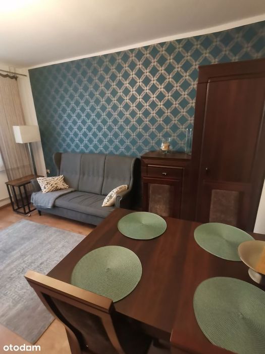 Wynajmę 4 pokojowe mieszkanie komfortowe blisko uczelni Pogoń
