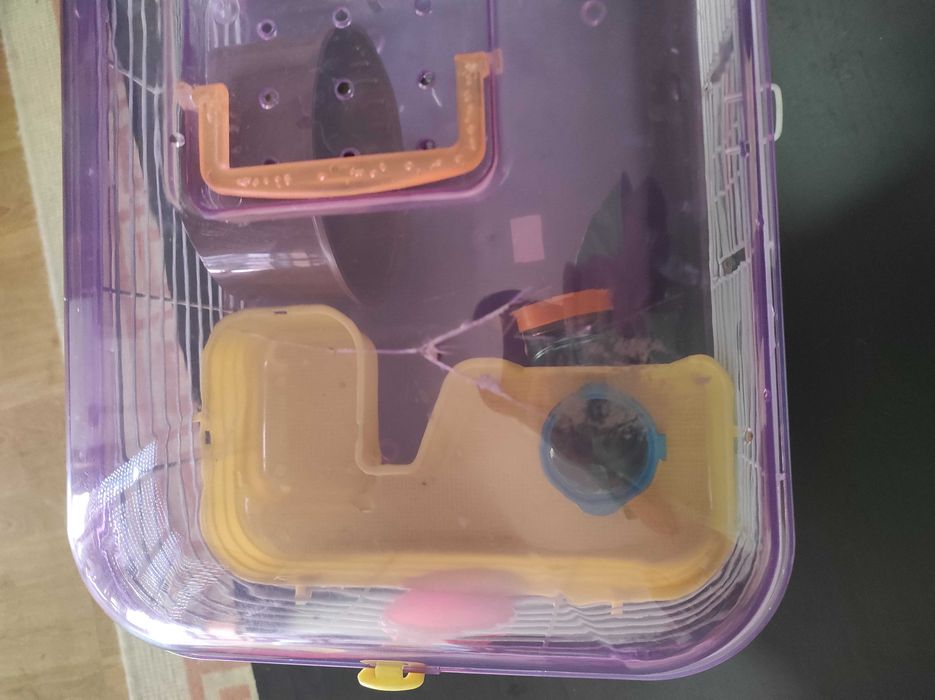 Gaiola para hamster