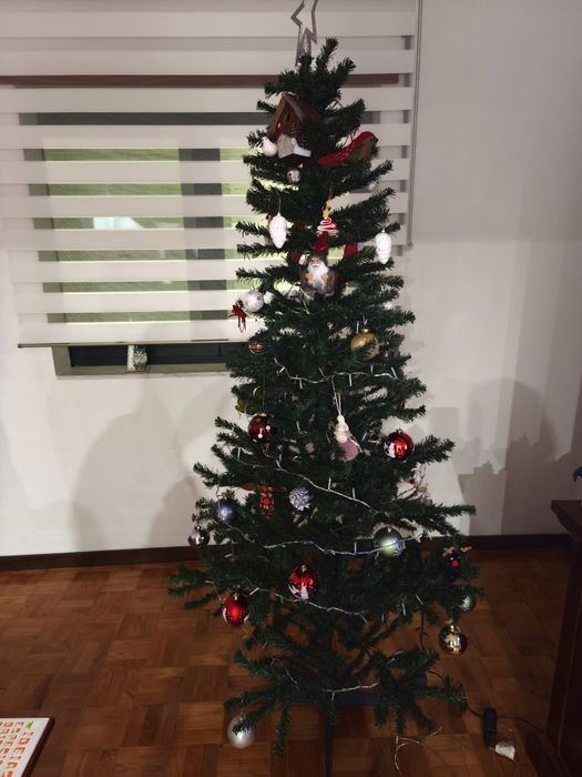 Árvore de natal Nova