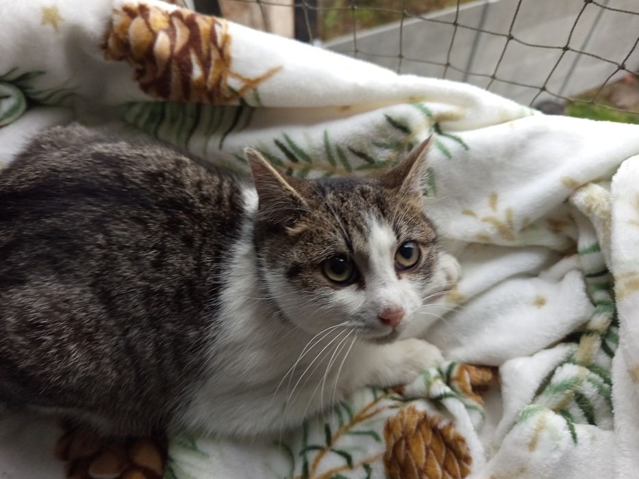 Trufla potrzebuje domku